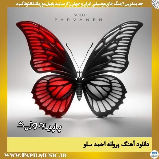 دانلود آهنگ پروانه از احمد سلو